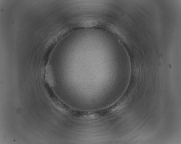 X0000070220307200605301437