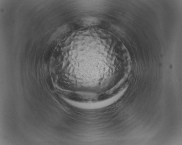 X0000070220327200605301437