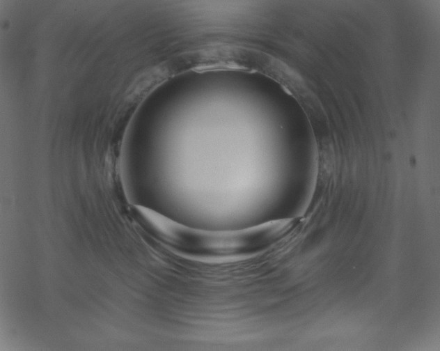 X0000070220333200605301437