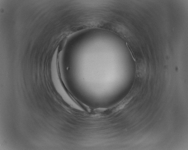 X0000070220334200605301437