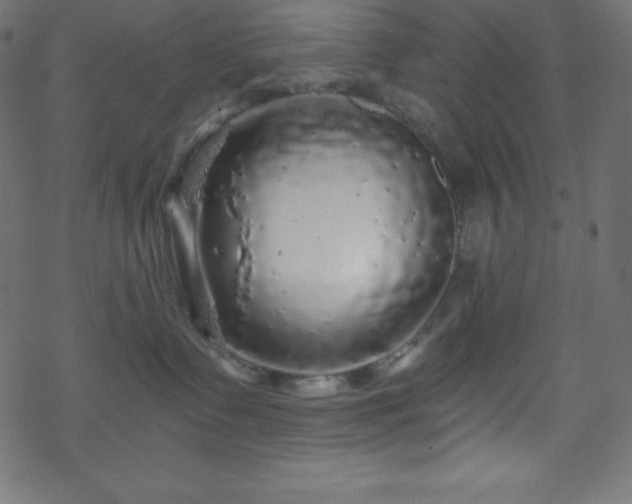 X0000070220335200605301437