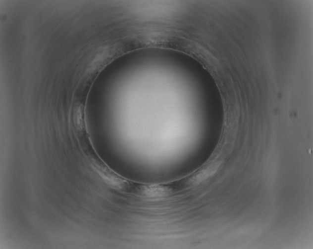 X0000070220336200605301437