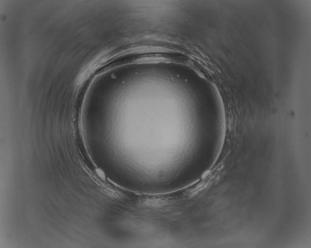 X0000070220341200605301436