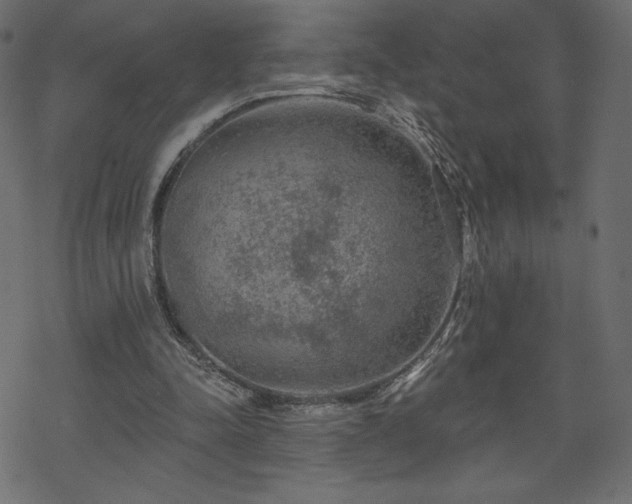 X0000070220342200605301436