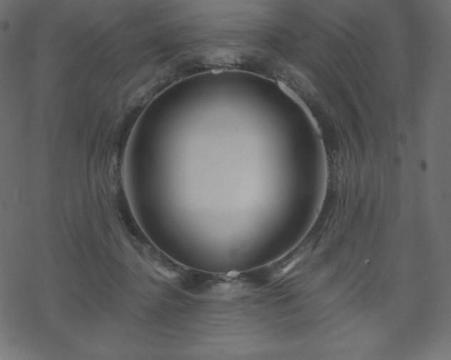 X0000070220364200605301436