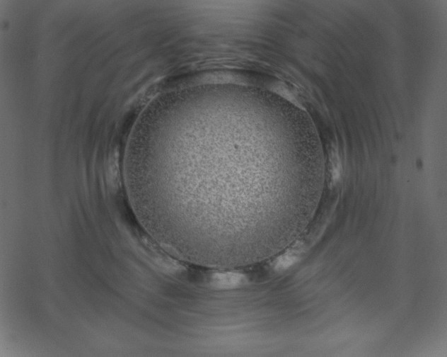 X0000070220376200605301437