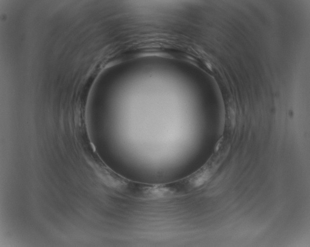 X0000070220379200605301437
