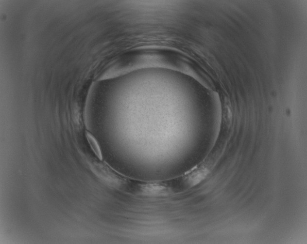 X0000070220380200605301437