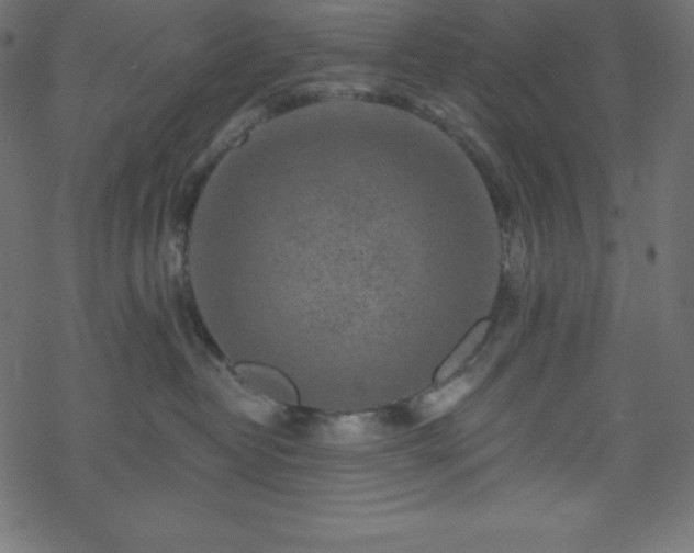 X0000070220382200605301437