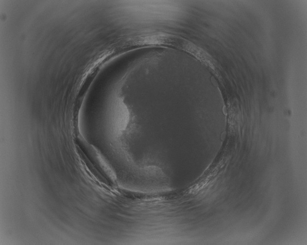 X0000070220386200605301436