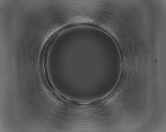 X0000070220391200605301436