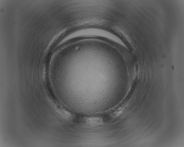 X0000070220400200605301436