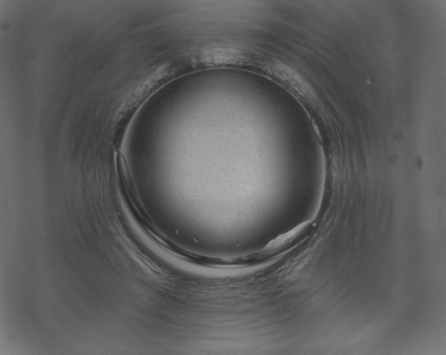 X0000070220401200605301436