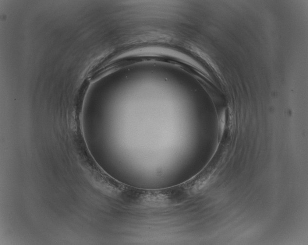 X0000070220403200605301436