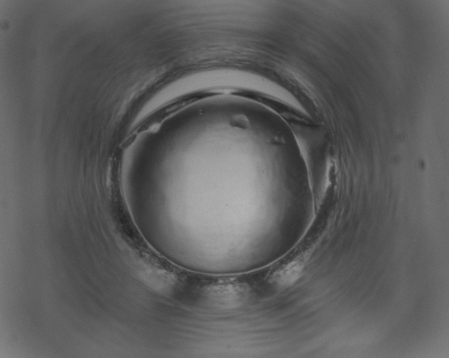 X0000070220404200605301436