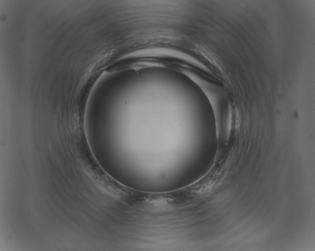 X0000070220407200605301436