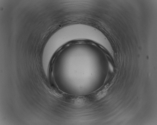 X0000070220412200605301435