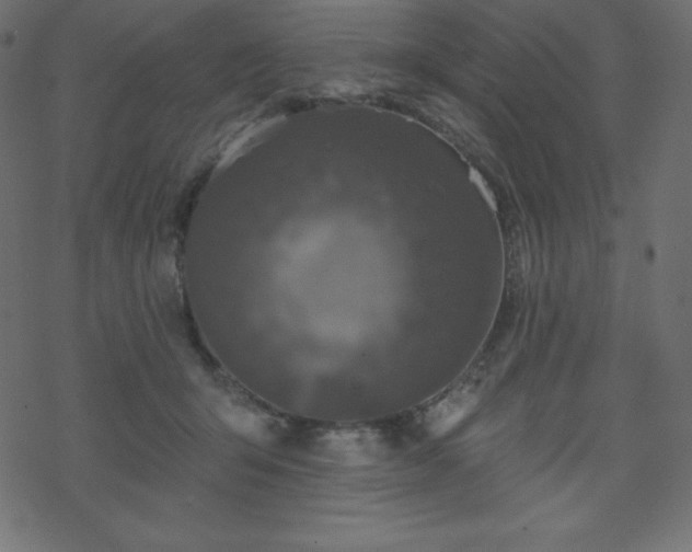 X0000070220415200605301435
