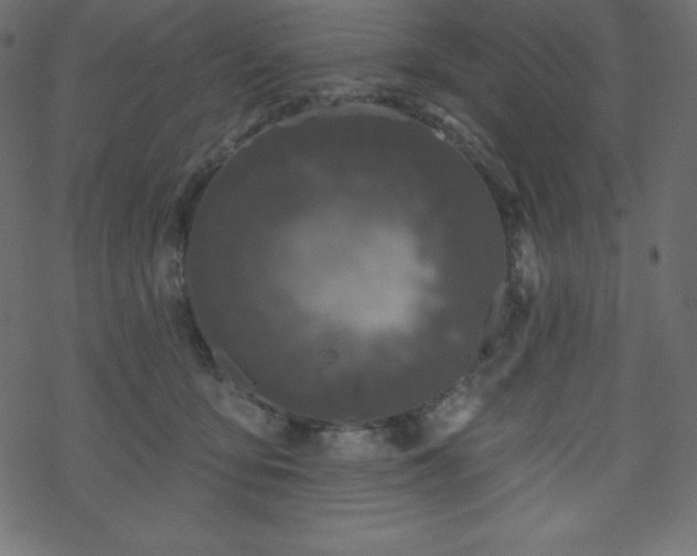 X0000070220419200605301435
