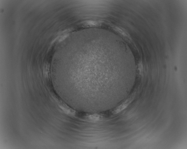X0000070220423200605301435