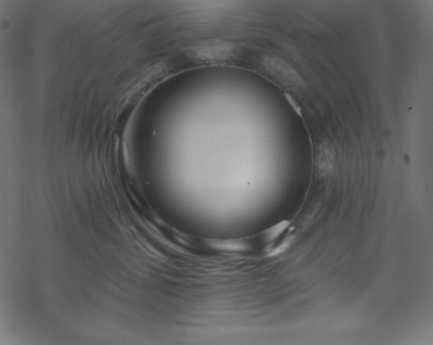 X0000070220428200605301435