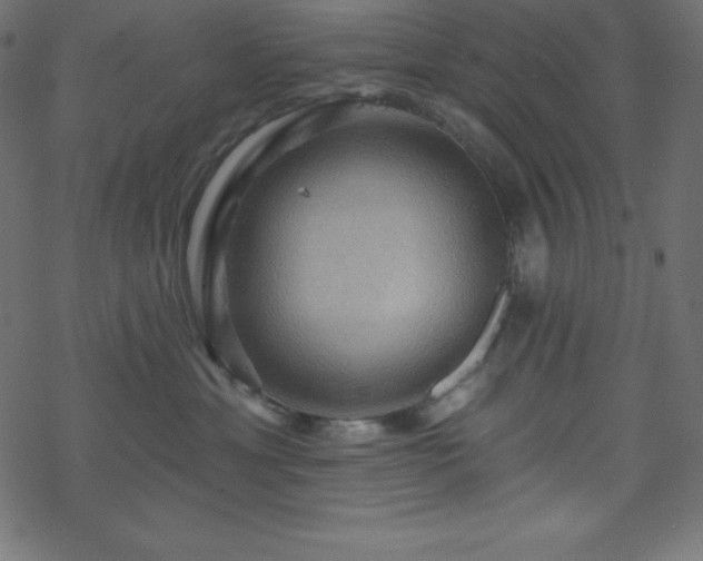 X0000070220429200605301435