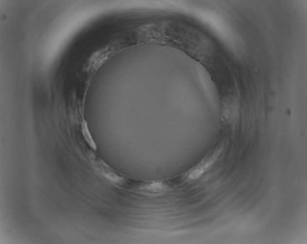 X0000070220431200605301435