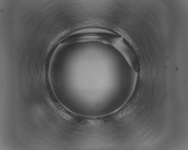 X0000070220442200605301435