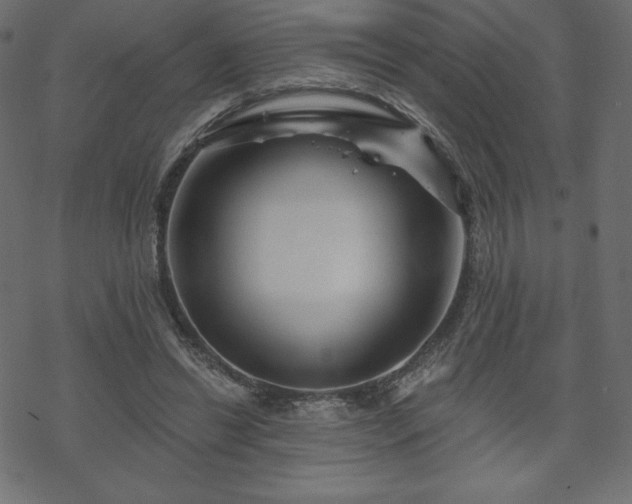 X0000070220446200605301435