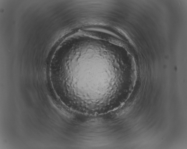 X0000070220447200605301435
