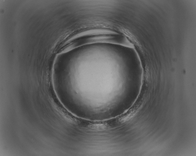X0000070220449200605301435