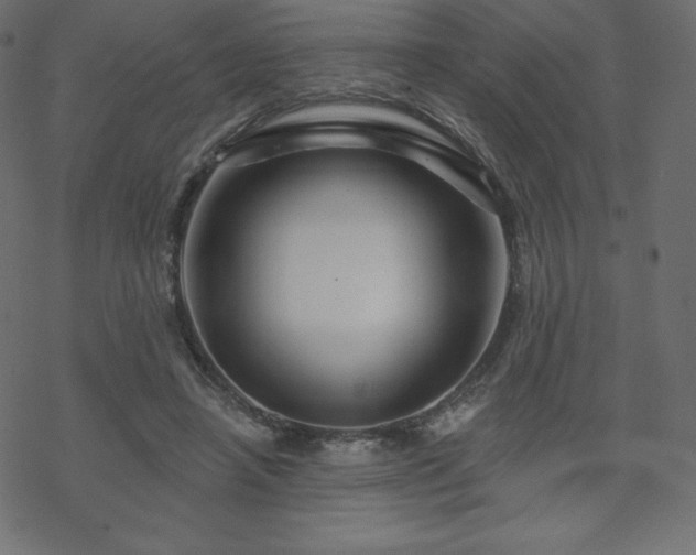 X0000070220450200605301435