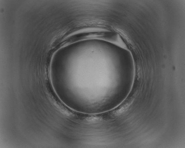 X0000070220453200605301435