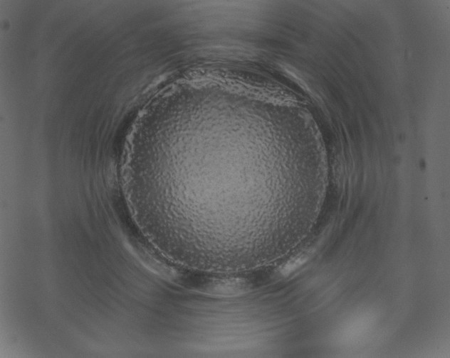 X0000070220459200605301435