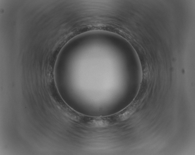 X0000070220464200605301435