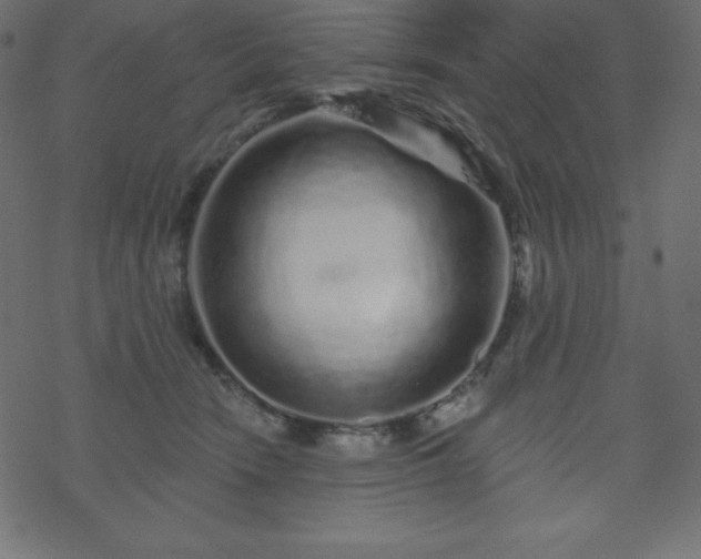 X0000070220466200605301435