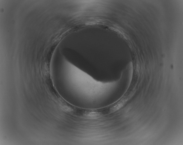 X0000070220467200605301435