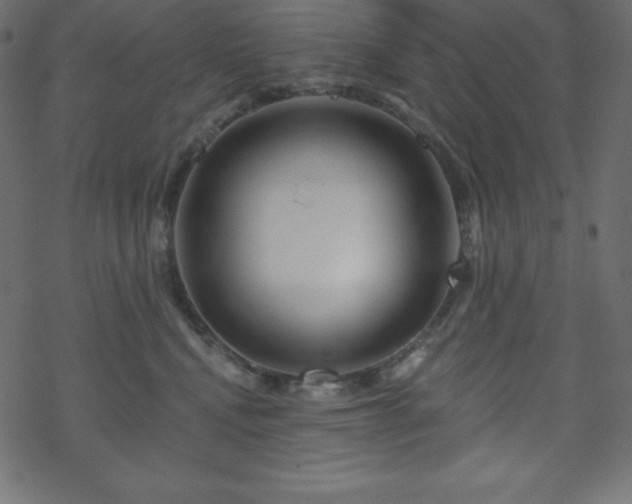 X0000070220472200605301435