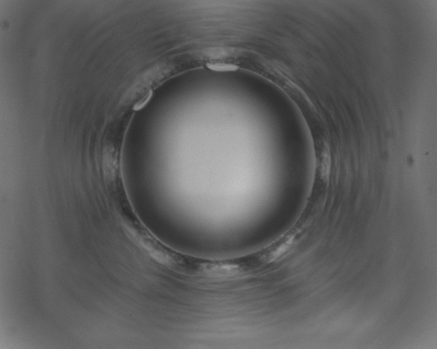 X0000070220476200605301435