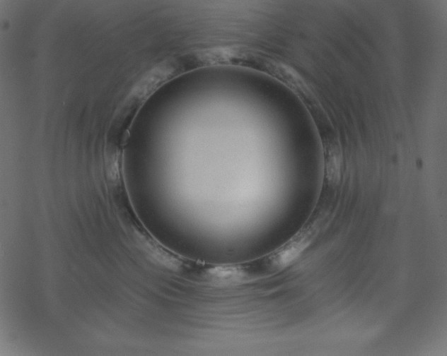 X0000070220477200605301435