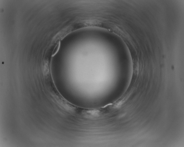 X0000070220478200605301435
