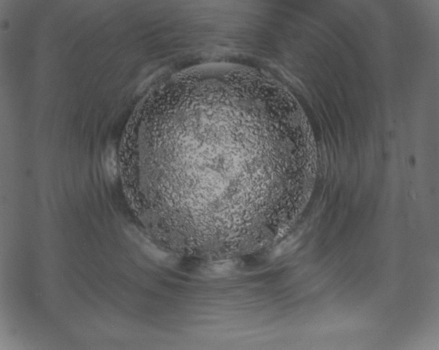 X0000070220479200605301435