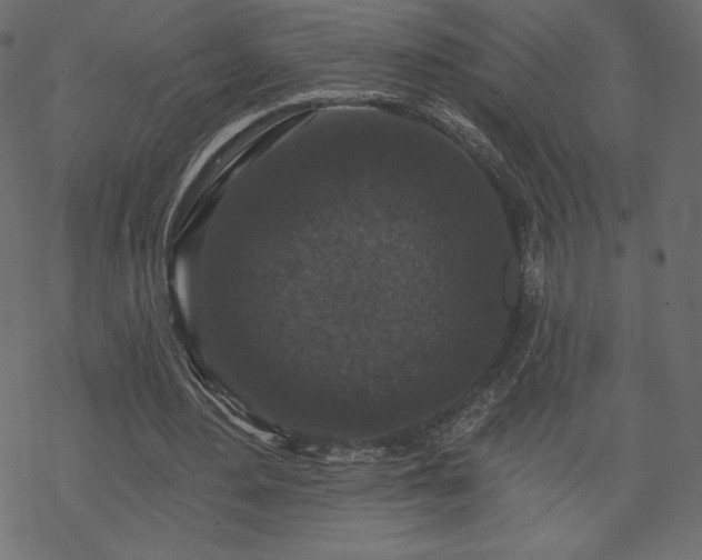 X0000070220484200605301434