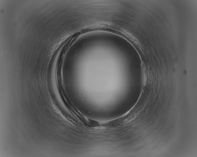X0000070220485200605301434