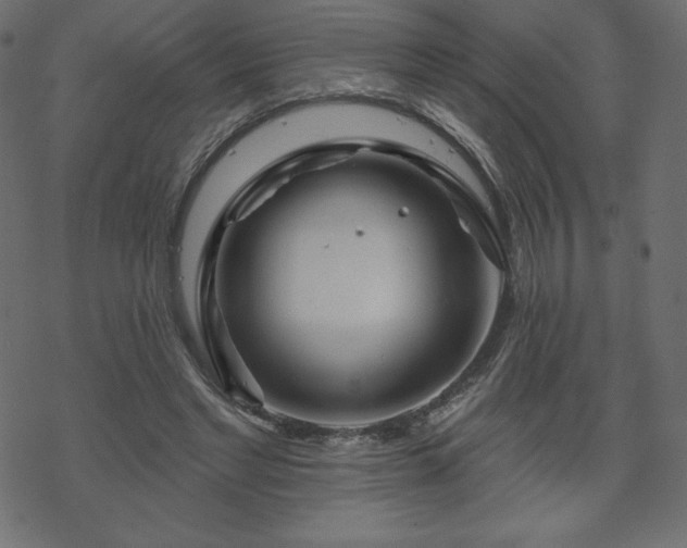 X0000070220493200605301434