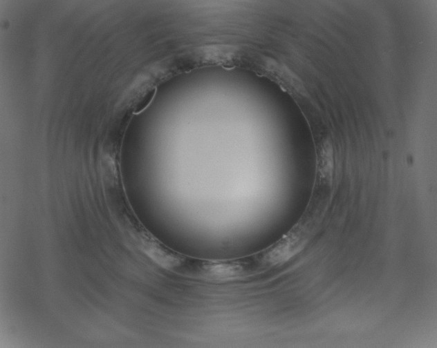 X0000070220522200605301434