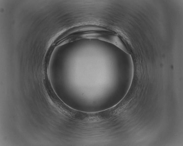 X0000070220536200605301433