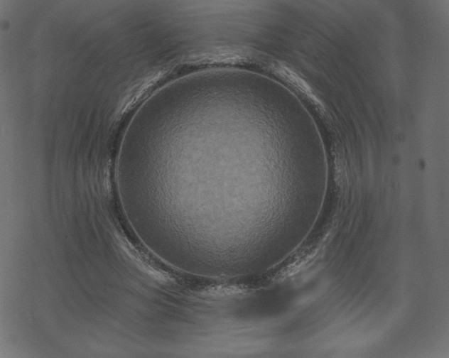 X0000070220537200605301433