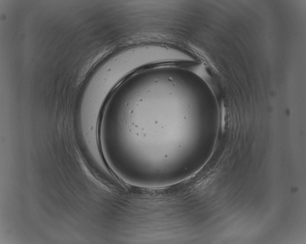 X0000070220538200605301433