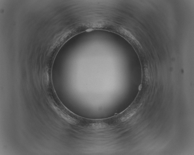 X0000070220541200605301433